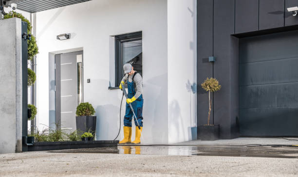Best Solar Panel Cleaning  in Palestine, TX